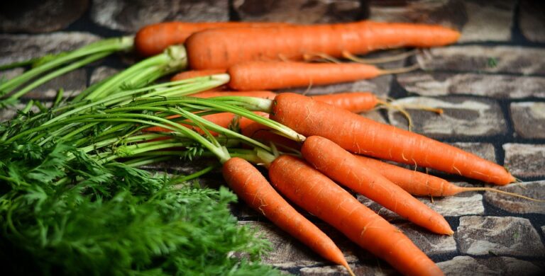 Los increíbles beneficios de las zanahorias para la salud