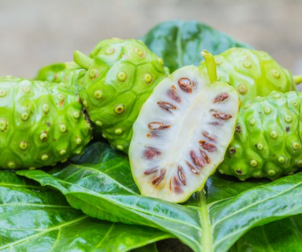 Los increíbles beneficios del Noni para la salud: descubre por qué deberías incorporarlo en tu dieta