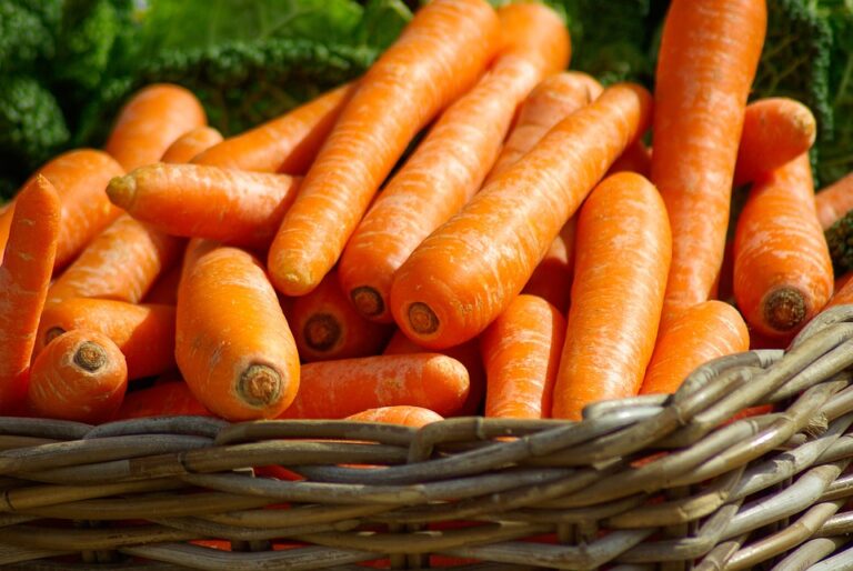 Cómo las zanahorias pueden mejorar tu bienestar