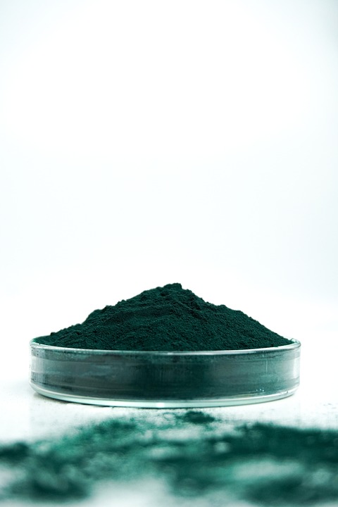 Propiedades y usos de la Espirulina para mejorar tu salud