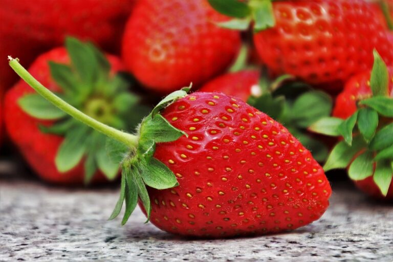 Beneficios de las fresas para la salud: Propiedades y nutrientes clave