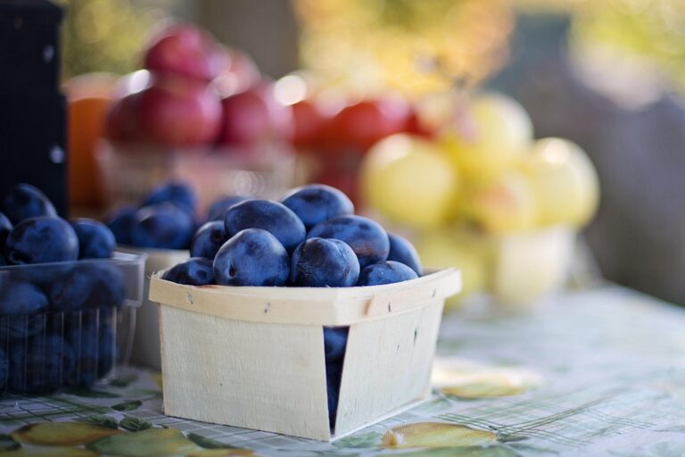 Alimentos funcionales: una guía completa para incorporarlos en tu dieta