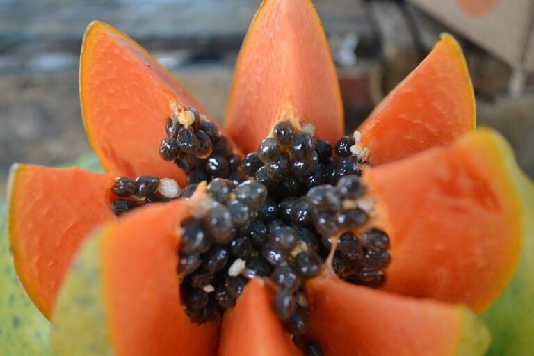 La papaya: un superalimento cargado de nutrientes esenciales