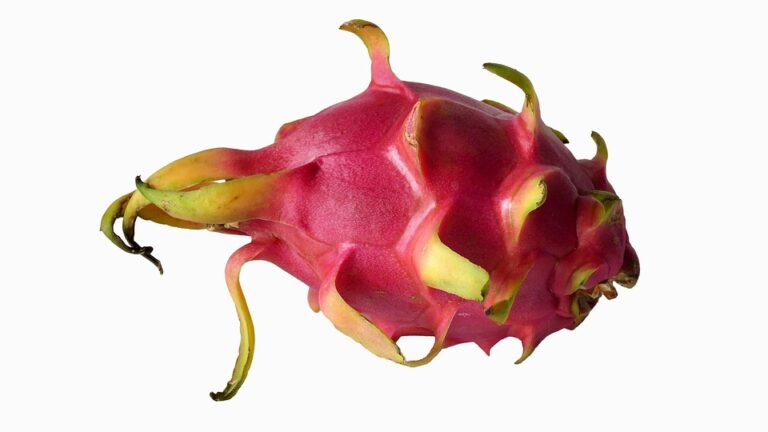 Beneficios de la pitaya: una fuente natural de antioxidantes y vitaminas